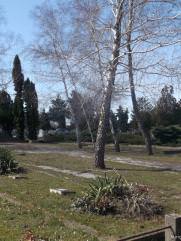 Фурман Григорий Яковлевич