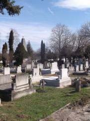 Фурман Григорий Яковлевич