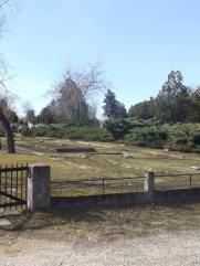 Фурман Григорий Яковлевич