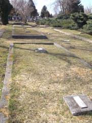 Фурман Григорий Яковлевич