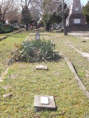 Фурман Григорий Яковлевич